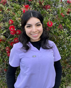Dentist in San Jose